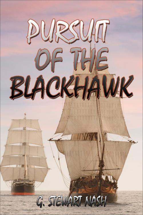 Cover of the book Pursuit of the Blackhawk by Stewart Nash, Stewart Nash