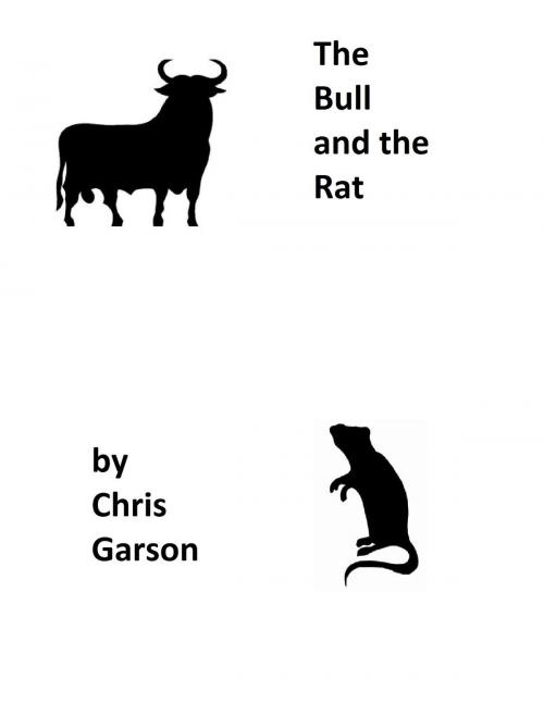 Cover of the book The Bull and the Rat by Chris Garson, Chris Garson