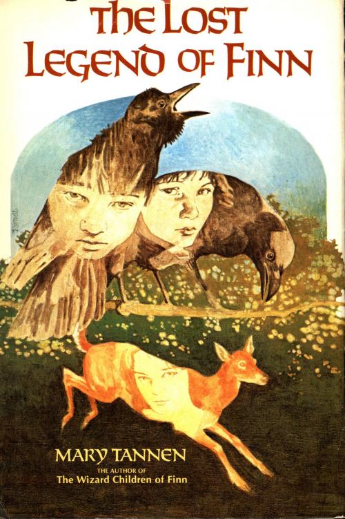 Cover of the book The Lost Legend of Finn by Mary Tannen, Mary Tannen