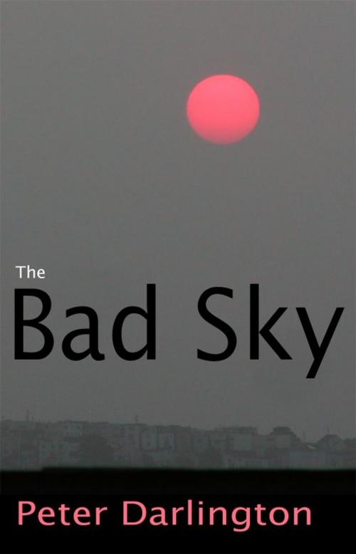 Cover of the book The Bad Sky by Peter Darlington, Peter Darlington