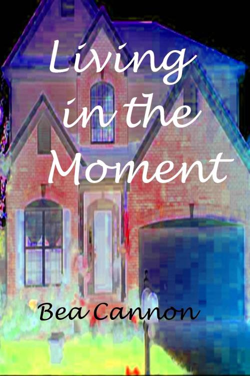 Cover of the book Living in the Moment by Bea Cannon, Bea Cannon