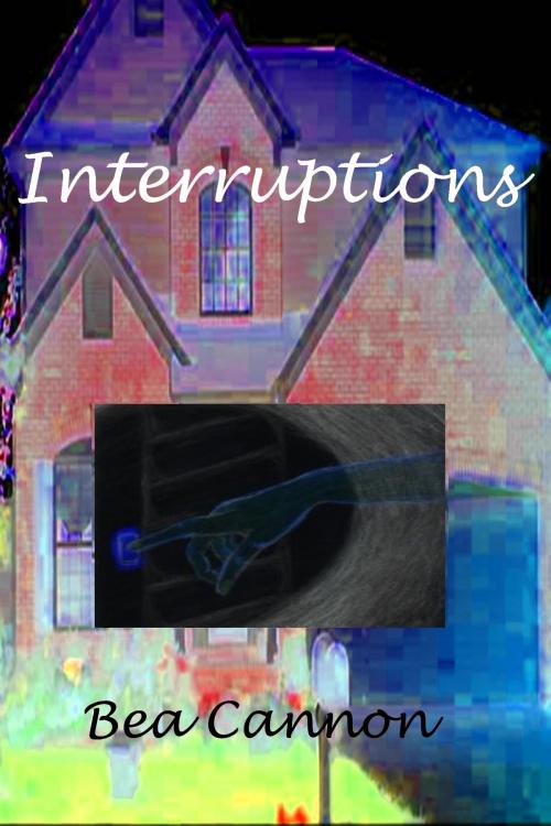 Cover of the book Interruptions by Bea Cannon, Bea Cannon