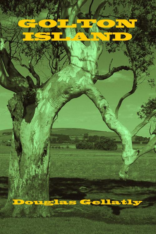 Cover of the book Golton Island by Douglas Gellatly, Douglas Gellatly