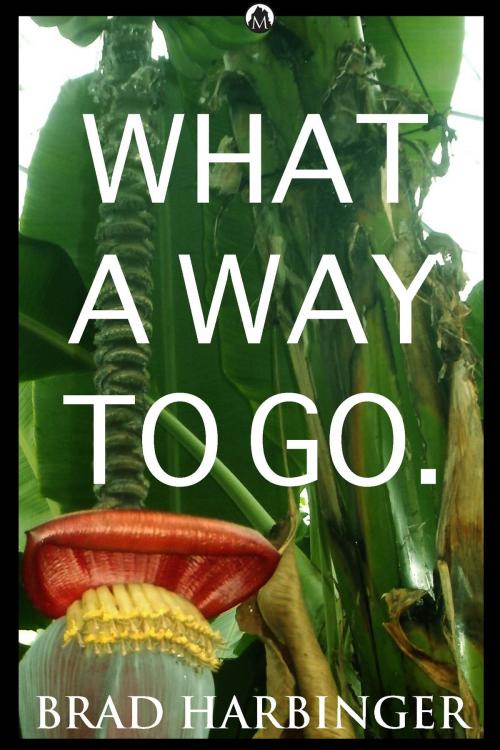 Cover of the book What a Way to Go. by Brad Harbinger, Michael Martin