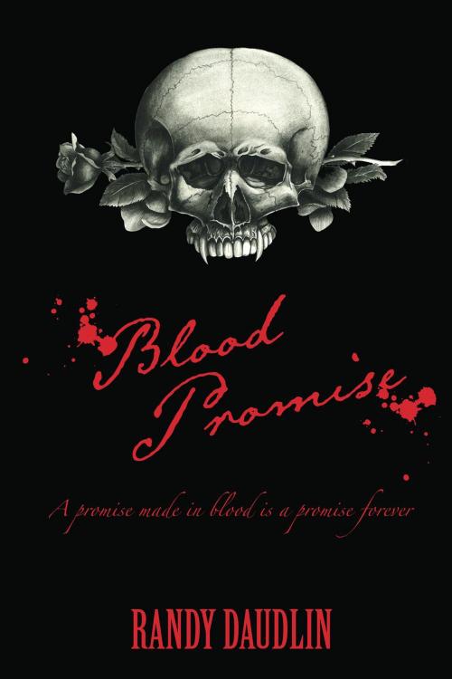 Cover of the book Blood Promise by Randy Daudlin, Randy Daudlin