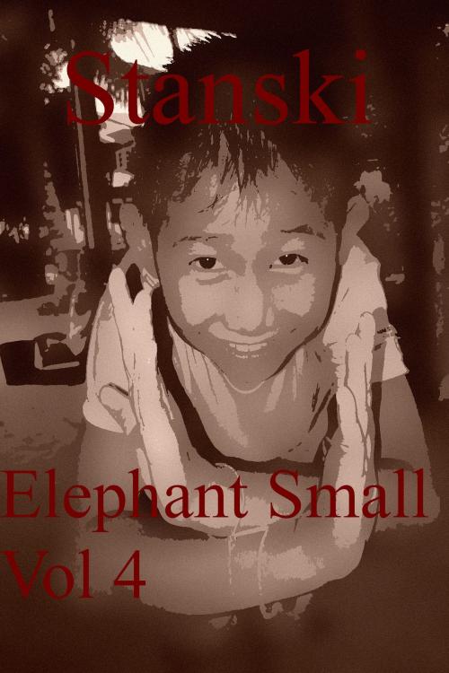 Cover of the book Elephant Small Vol 4 by Stanski, Stanski