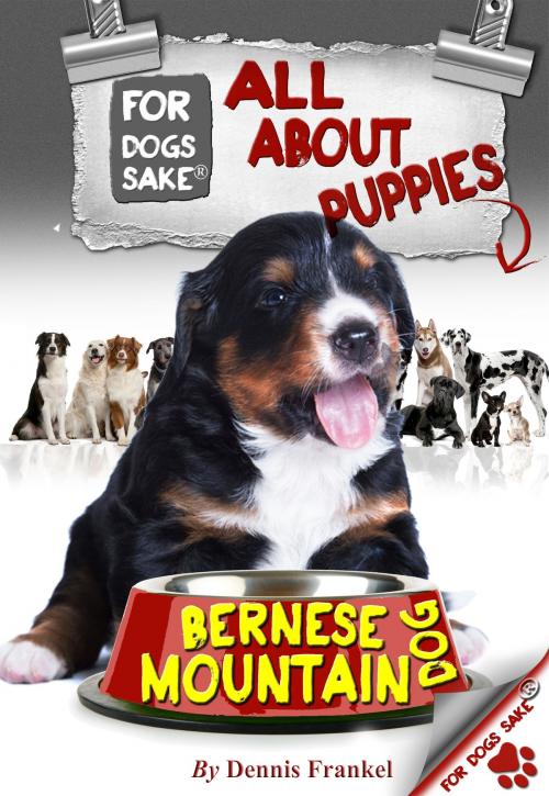 Cover of the book All About Bernese Mountain Dog Puppies by Dennis Frankel, For Dogs Sake!