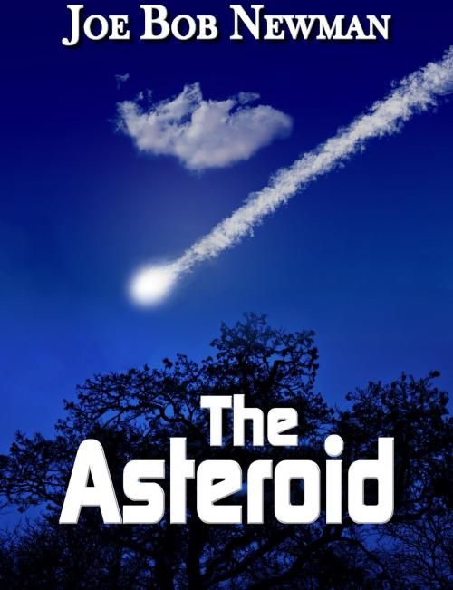 Cover of the book The Asteroid by Joe Bob Newman, Joe Bob Newman