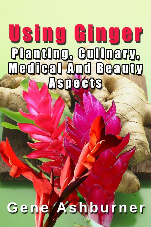 Cover of the book Using Ginger: Planting, Culinary, Medical And Beauty Aspects by Gene Ashburner, Gene Ashburner