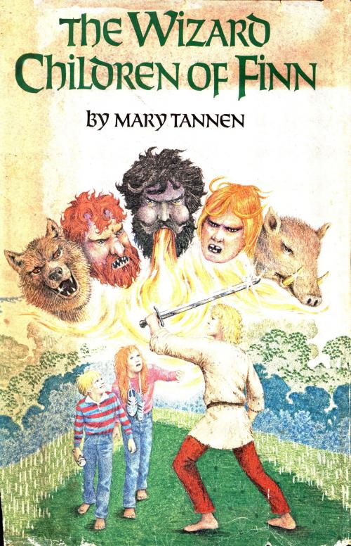 Cover of the book The Wizard Children of Finn by Mary Tannen, Mary Tannen