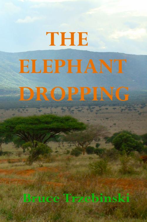 Cover of the book The Elephant Dropping by Bruce Trzebinski, Bruce Trzebinski