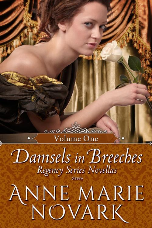 Cover of the book Damsels in Breeches Regency Series Boxed Set Vol. 1 (Books 1-3) by Anne Marie Novark, Anne Marie Novark
