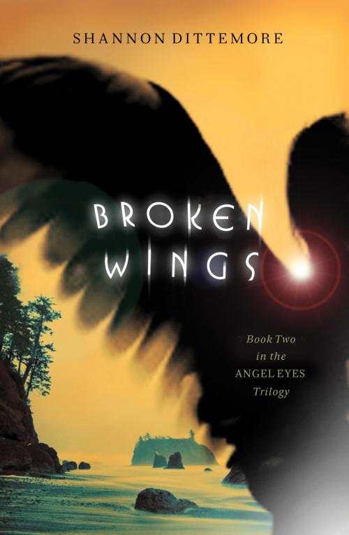 Cover of the book Broken Wings by Shannon Dittemore, Thomas Nelson