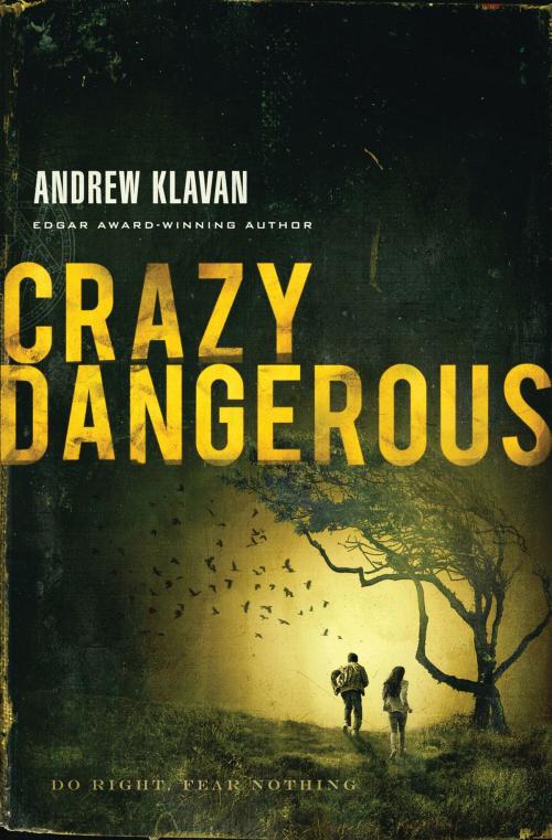 Cover of the book Crazy Dangerous by Andrew Klavan, Thomas Nelson