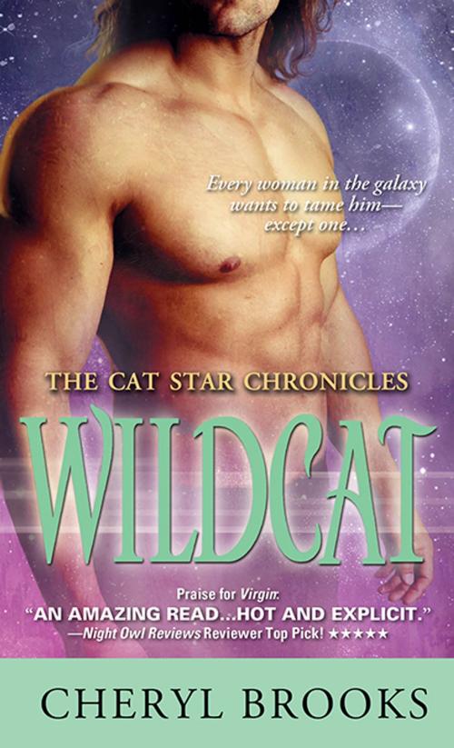 Cover of the book Wildcat by Cheryl Brooks, Sourcebooks