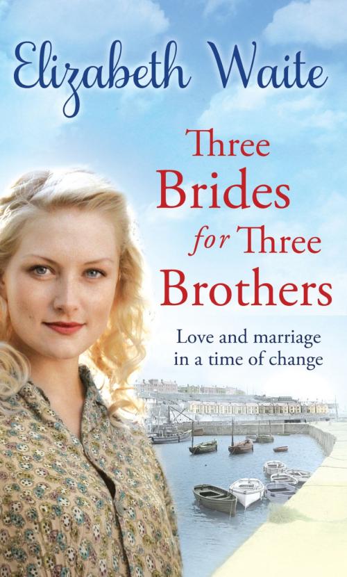 Cover of the book Three Brides for Three Brothers by Elizabeth Waite, Little, Brown Book Group