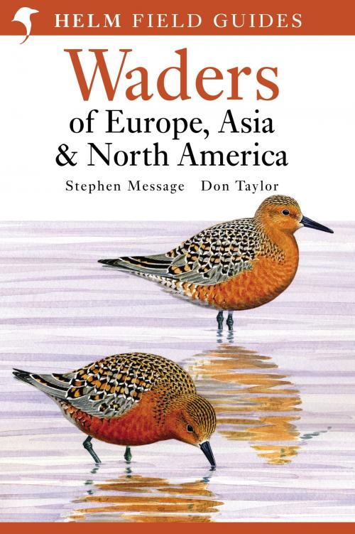 Cover of the book Waders of Europe, Asia and North America by Stephen Message, Don W. Taylor, Bloomsbury Publishing