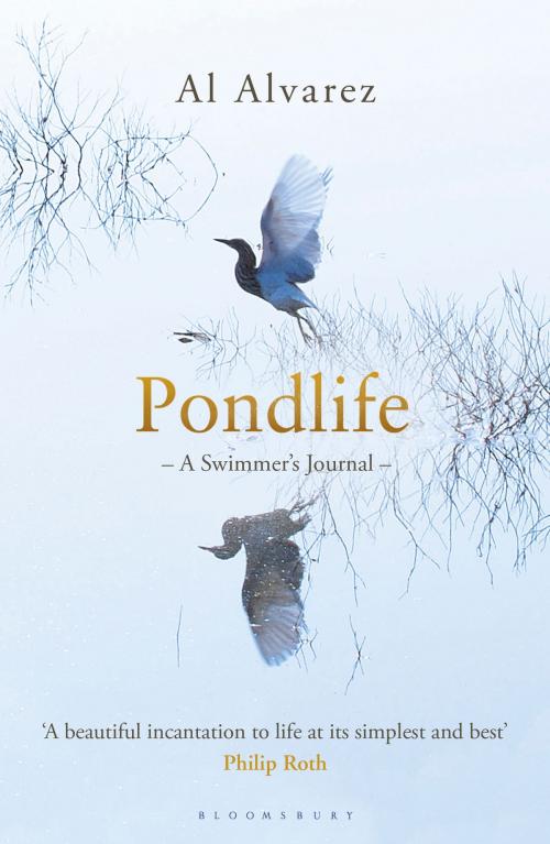 Cover of the book Pondlife by Al Alvarez, Bloomsbury Publishing