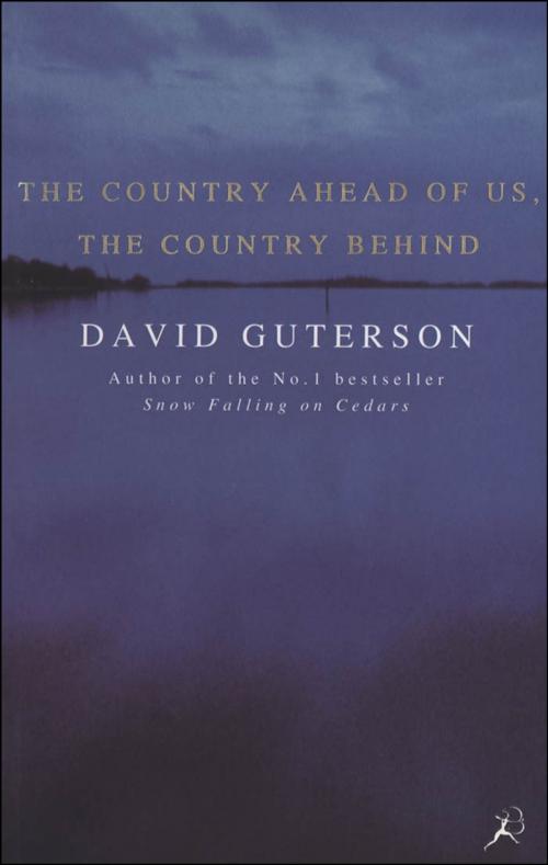 Cover of the book The Country Ahead of Us, the Country Behind by David Guterson, Bloomsbury Publishing