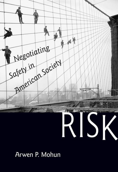 Cover of the book Risk by Arwen P. Mohun, Johns Hopkins University Press
