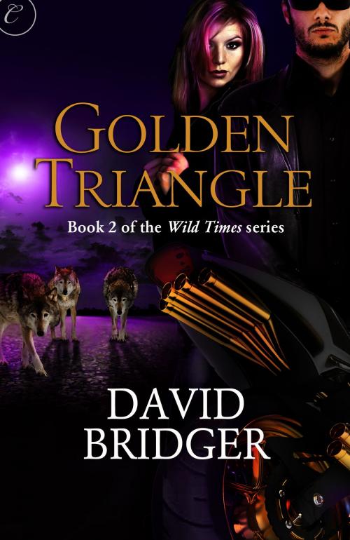 Cover of the book Golden Triangle by David Bridger, Carina Press
