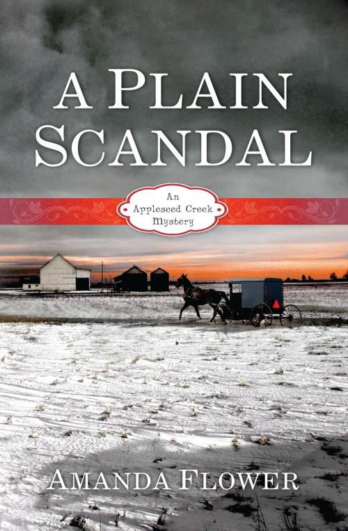 Cover of the book A Plain Scandal by Amanda Flower, B&H Publishing Group
