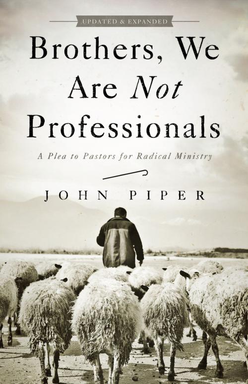 Cover of the book Brothers, We Are Not Professionals by John Piper, B&H Publishing Group