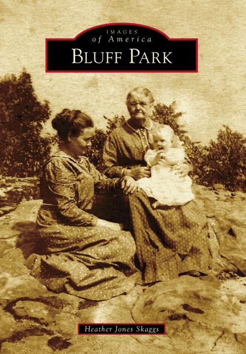 Cover of the book Bluff Park by Heather Jones Skaggs, Arcadia Publishing Inc.