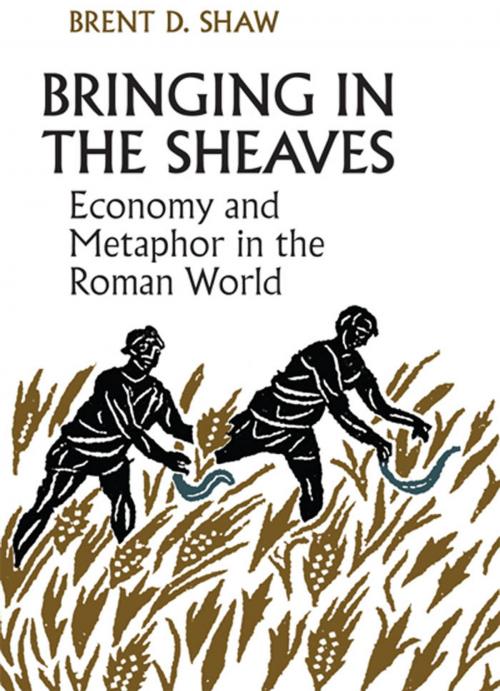 Cover of the book Bringing in the Sheaves by Brent Shaw, University of Toronto Press, Scholarly Publishing Division