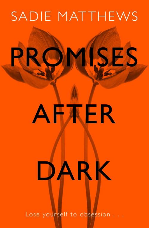Cover of the book Promises After Dark by Sadie Matthews, Hodder & Stoughton