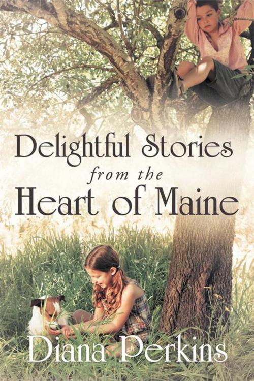 Cover of the book Delightful Stories from the Heart of Maine by Diana Perkins, WestBow Press