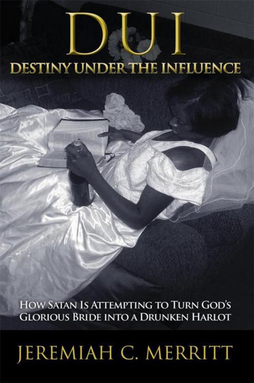 Cover of the book Dui—Destiny Under the Influence by Jeremiah C. Merritt, WestBow Press