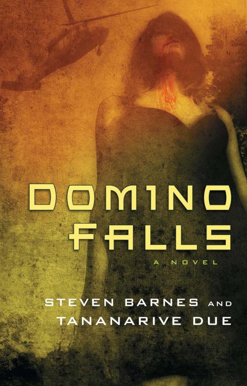 Cover of the book Domino Falls by Steven Barnes, Tananarive Due, Atria Books