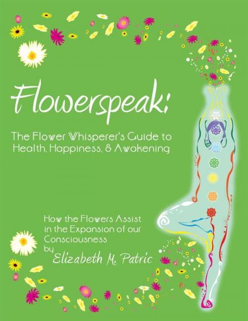 Cover of the book Flowerspeak: the Flower Whisperer's Guide to Health, Happiness, and Awakening by Elizabeth M. Patric, Balboa Press