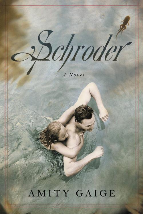 Cover of the book Schroder by Amity Gaige, Grand Central Publishing