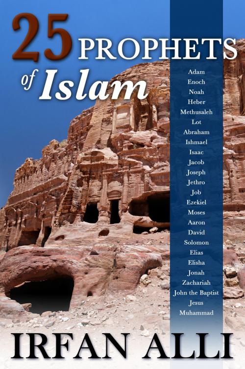 Cover of the book 25 Prophets of Islam by Irfan Alli, ebookit