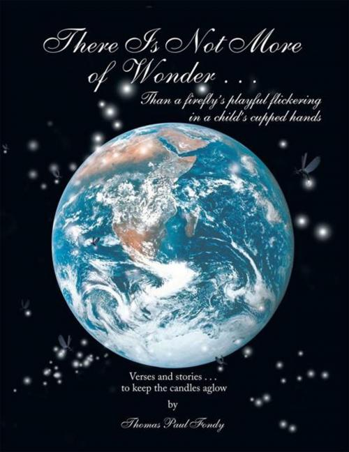 Cover of the book There Is Not More of Wonder by Thomas Paul Fondy, Trafford Publishing