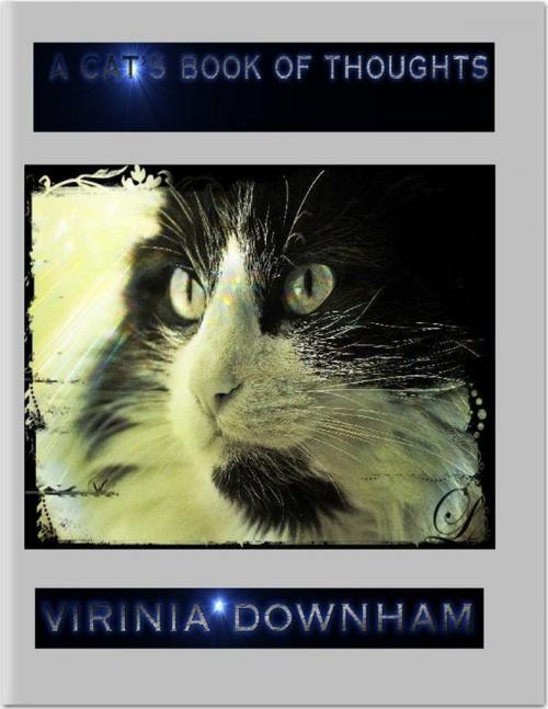 Cover of the book A Cat's Book of Thoughts by Virinia Downham, Lulu.com