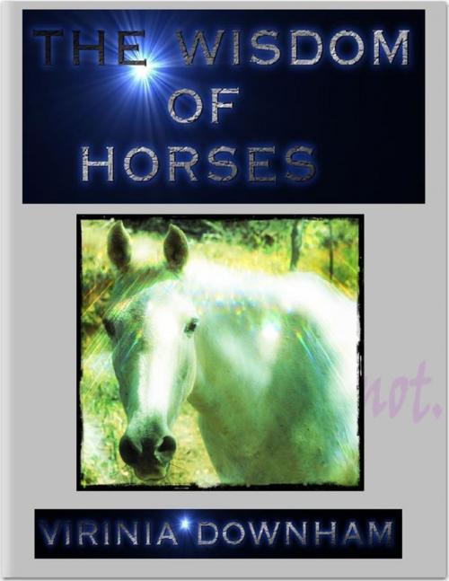 Cover of the book Wisdom of Horses by Virinia Downham, Lulu.com