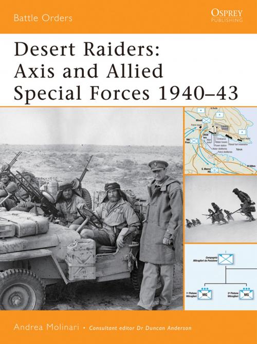 Cover of the book Desert Raiders by Andrea Molinari, Bloomsbury Publishing
