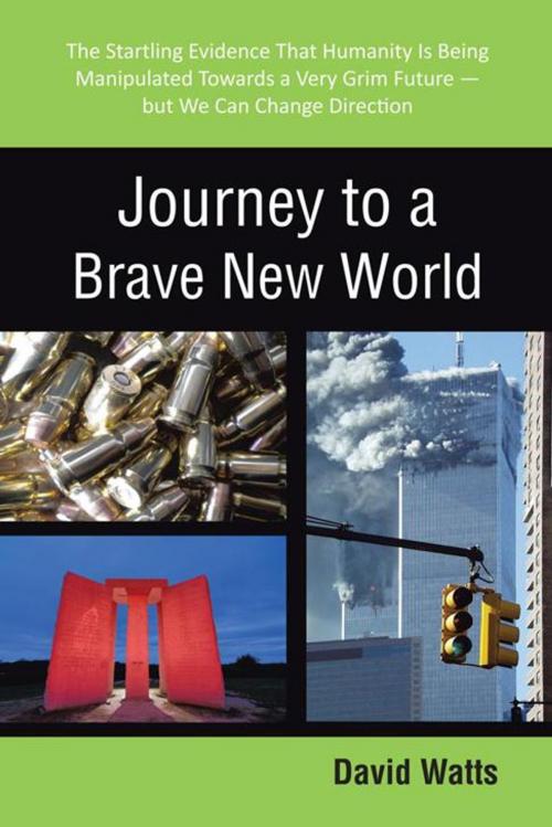 Cover of the book Journey to a Brave New World by David Watts, iUniverse