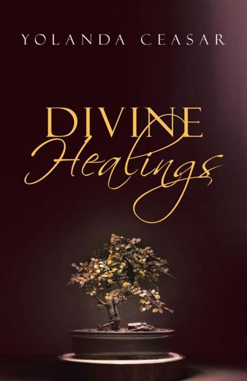 Cover of the book Divine Healings by Yolanda Ceasar, iUniverse