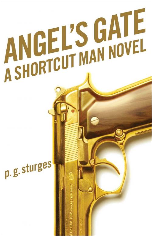 Cover of the book Angel's Gate by p.g. sturges, Scribner
