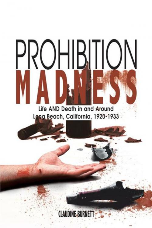 Cover of the book Prohibition Madness by Claudine Burnett, AuthorHouse