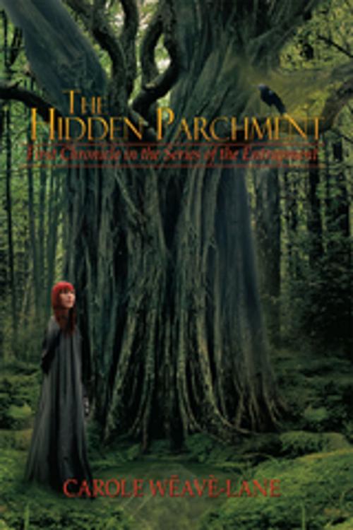 Cover of the book The Hidden Parchment by Carole Wéavé Lane, Xlibris AU