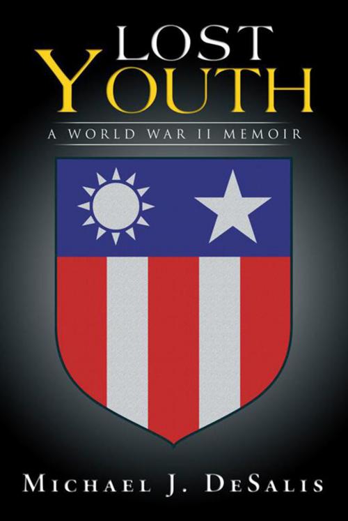 Cover of the book Lost Youth by Michael J. DeSalis, Xlibris US
