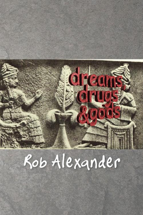 Cover of the book Dreams, Drugs & Gods by Rob Alexander, Xlibris US