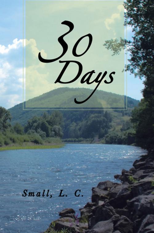 Cover of the book 30 Days by L.C. Small, Xlibris UK