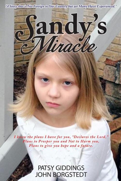 Cover of the book Sandy's Miracle by Patsy Giddings, AuthorHouse