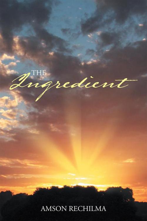 Cover of the book The Ingredient by Amson Rechilma, Xlibris US